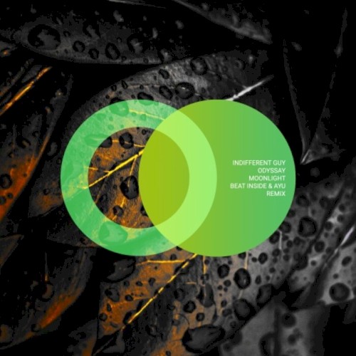 Moonlight (Beat Inside & AYU (UA) Remix)