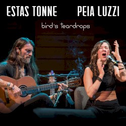 Bird's Teardrops