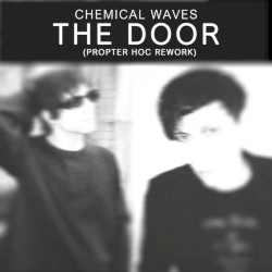 The Door (Propter Hoc remix rework)