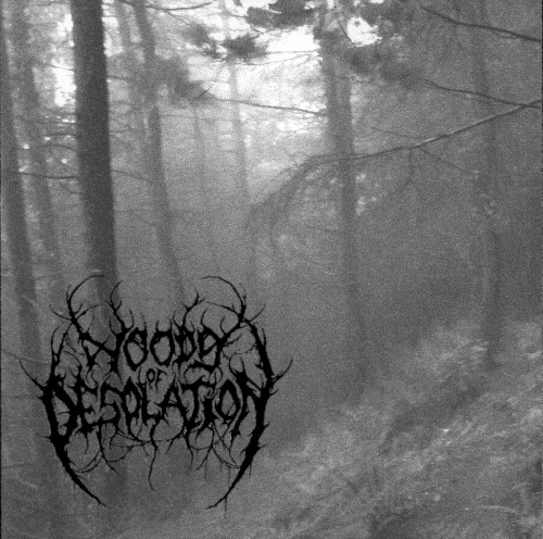 Woods of Desolation