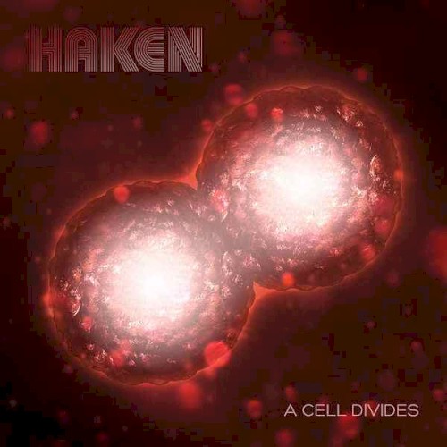 A Cell Divides