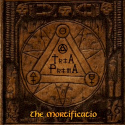 The Mortificatio