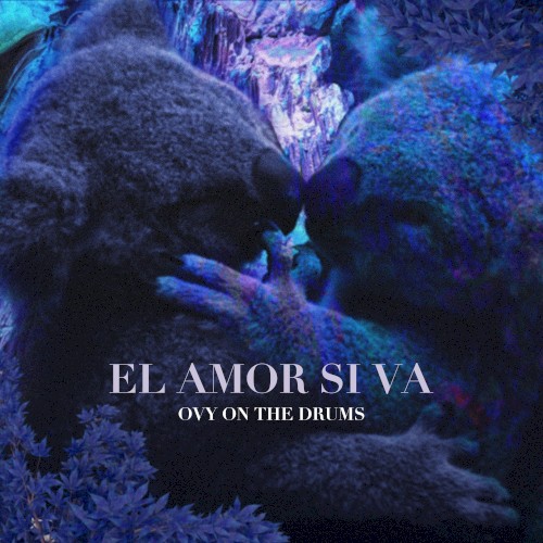 El amor sí va