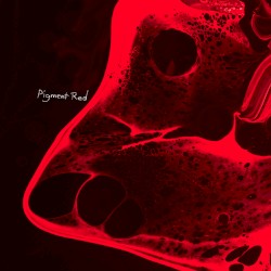 Pigment Red