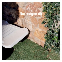 Nur wegen dir