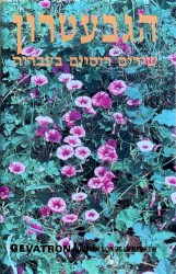 שירים רוסיים בעברית