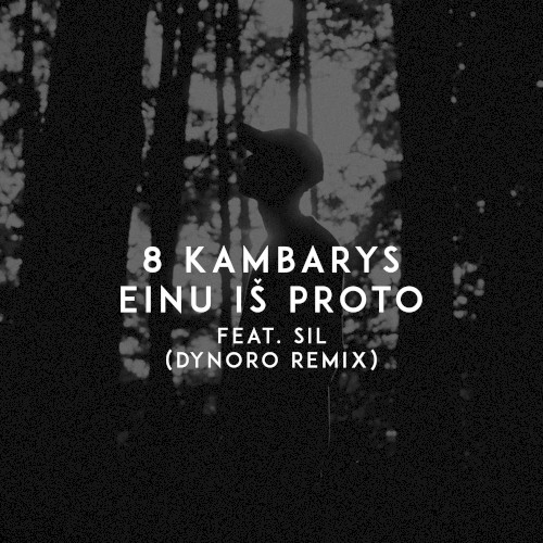 Einu iš proto (Dynoro remix)