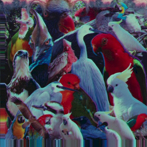 I’d Rather Listen to the Bloody Birds