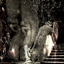 The Thai Occult