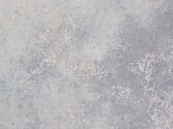 [selwn]