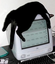 qwerty