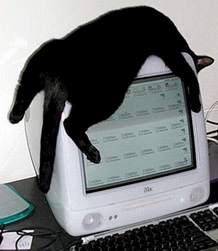 qwerty