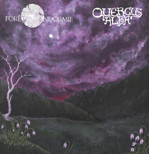 Forêt Endormie / Quercus Alba Split
