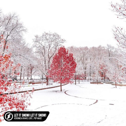 Let It Snow! Let It Snow! Let It Snow (acoustic)