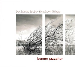 Der Stimme Zauber: Eine Storm-Trilogie