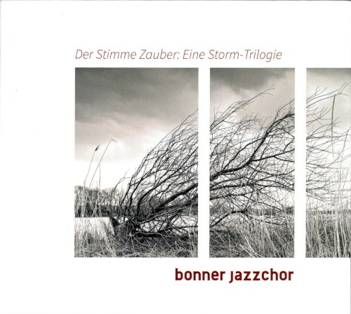 Der Stimme Zauber: Eine Storm-Trilogie