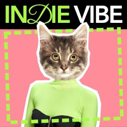 Indie Vibe
