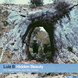 Hidden Beauty