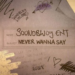 Never Wanna Say