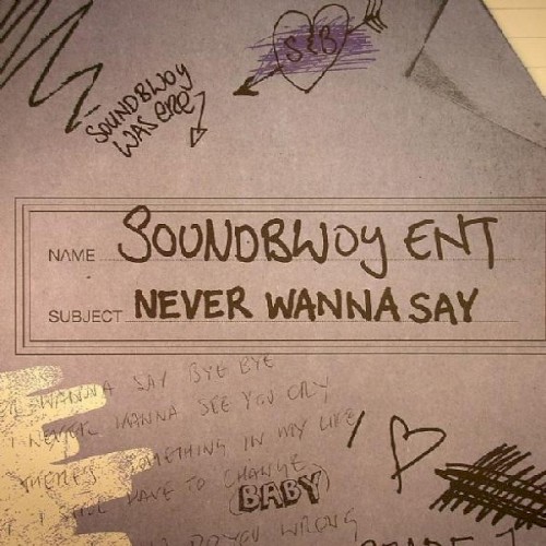 Never Wanna Say