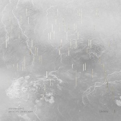 Parallel Landscapes
