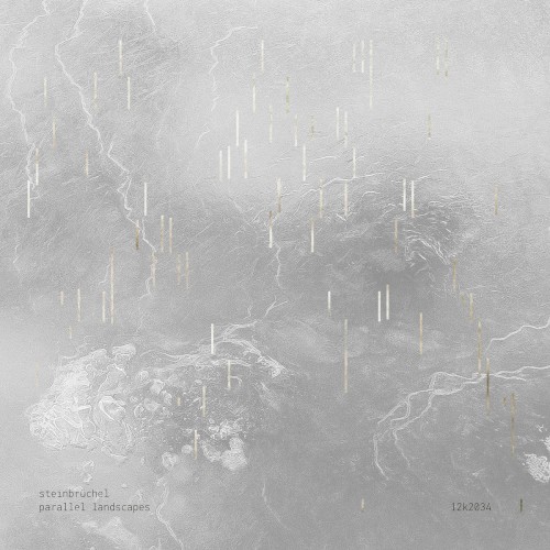 Parallel Landscapes