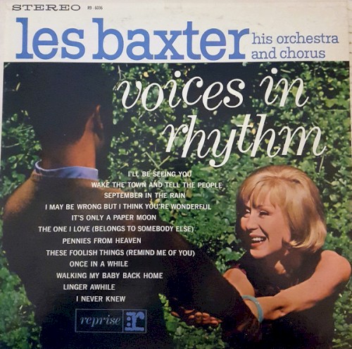 Voices in Rhythm