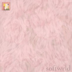 softwrld