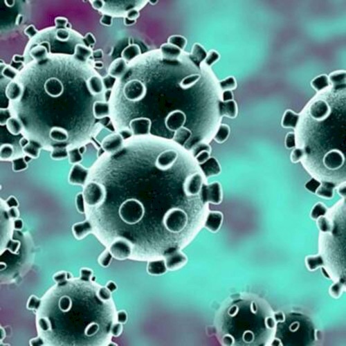 I Got Corana Virus