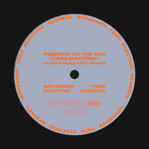 Running to the Sea (True Electric) (Oliver Koletzki remix)