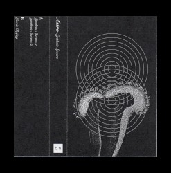 Synthetic Spectra