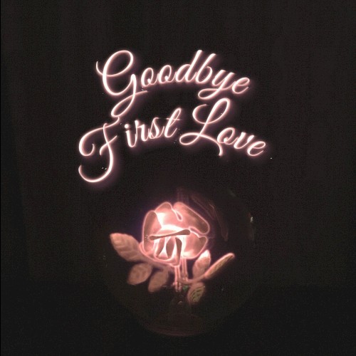 Goodbye First Love