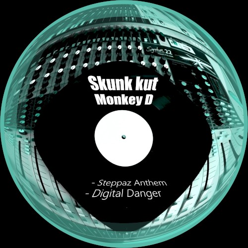 Digital/Steppaz
