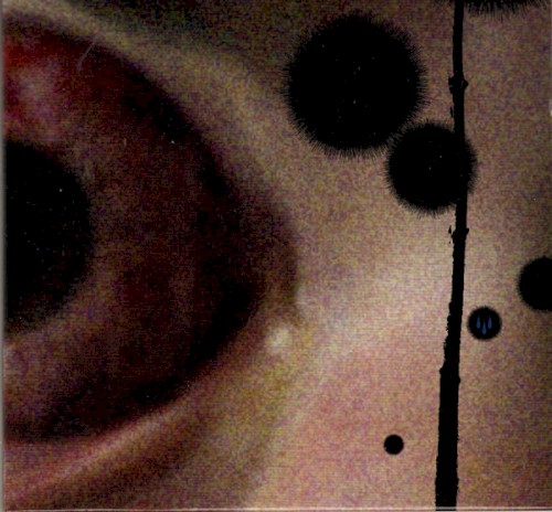 Holy Tears + Not in Rivers, but in Drops