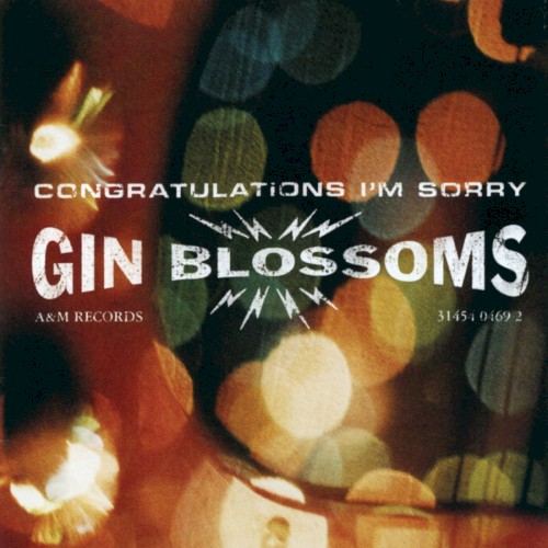 Congratulations I’m Sorry