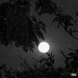 what i see when i’m walking alone at night