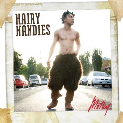 Hairy Nandies