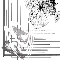 Monographomania