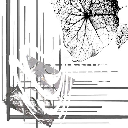 Monographomania