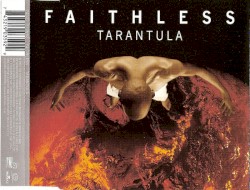 Tarantula