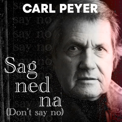 Sag ned na (Don't Say No)