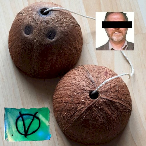 Kokosnøtt