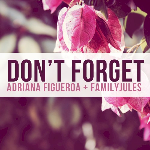Don’t Forget (from “DELTARUNE”)