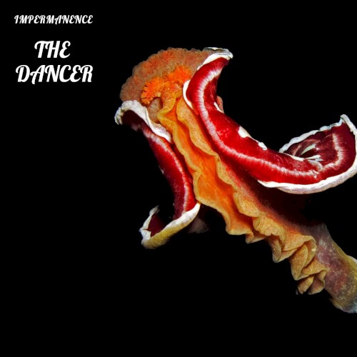 The Dancer