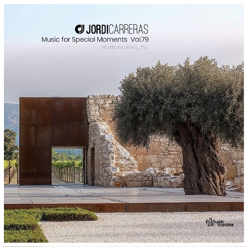 Music For Special Moments | Vol.79