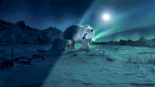 Found Within Night