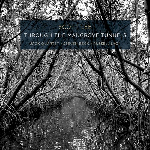 Through the Mangrove Tunnels