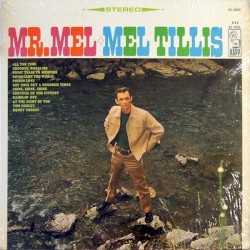 Mr. Mel