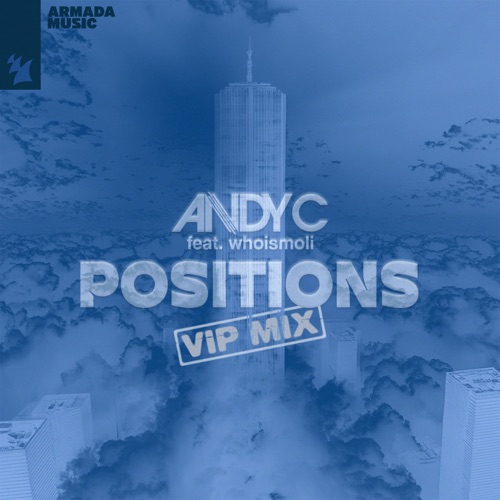 Positions (VIP Mix)