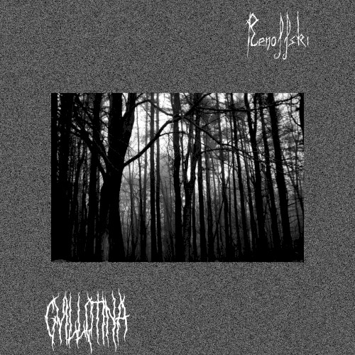 Gvillotina x Renoffski